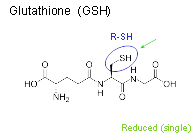 GSHglutathione1