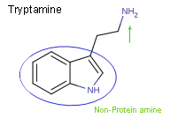 Tryptamine