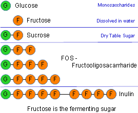 sucrose inulin